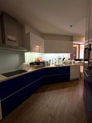 Dover Parkview (D5), Condominium #480349861